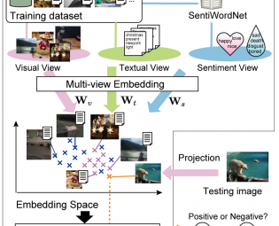 Multi-View Embedding for Image Sentiment Analysis
