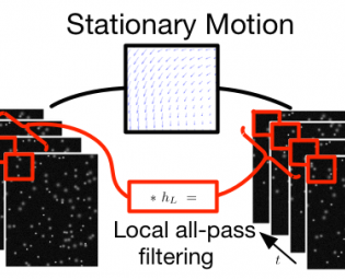 Stationary Motion Estimation