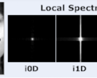 Intrinsic two-dimensional local structures