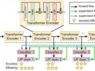 MULTI-EXIT VISION TRANSFORMER WITH CUSTOM FINE-TUNING FOR FINE-GRAINED ...