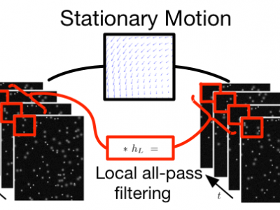 Stationary Motion Estimation