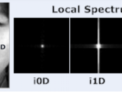 Intrinsic two-dimensional local structures