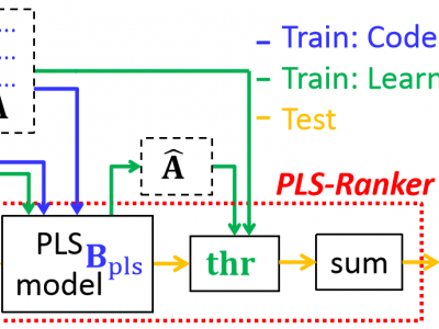 Flow chart of age estimation using PLS-Ranker