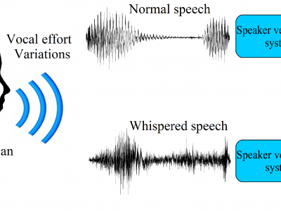 What happens when a standard speaker verification system is tested with whispered speech?