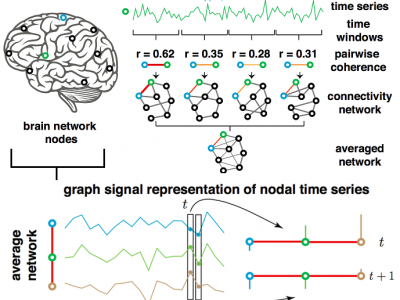 Establishing new TReNDS in brain research - The Signal