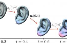 LDDMM morphing of ear shape