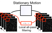 SLAP Tracker Stationary Motion Estimation
