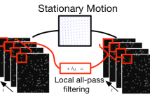 Stationary Motion Estimation