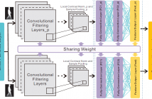 The framework of our proposed Siamese neural network based gait recognition for human identification