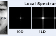 Intrinsic two-dimensional local structures