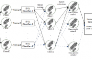 Block diagram of the proposed class-specific dictionary learning.